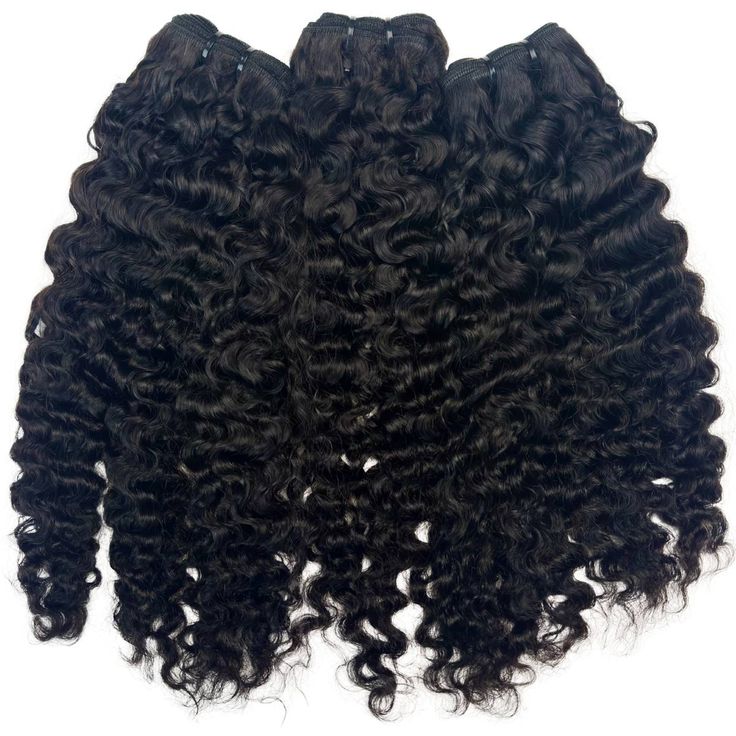 Burmese Curly - 3 Bundle Deal